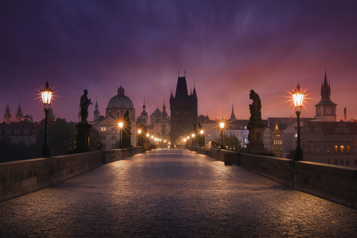 poster-print-saint-charles-bridge-prague
