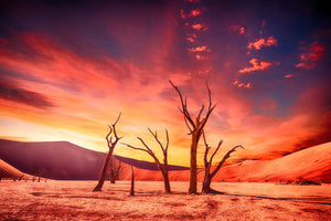3-piece-acrylic-print-colorful-desert