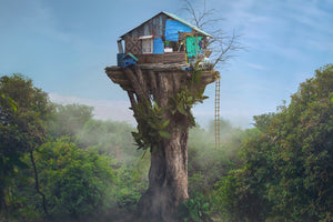framedposter-print-house-in-the-sky