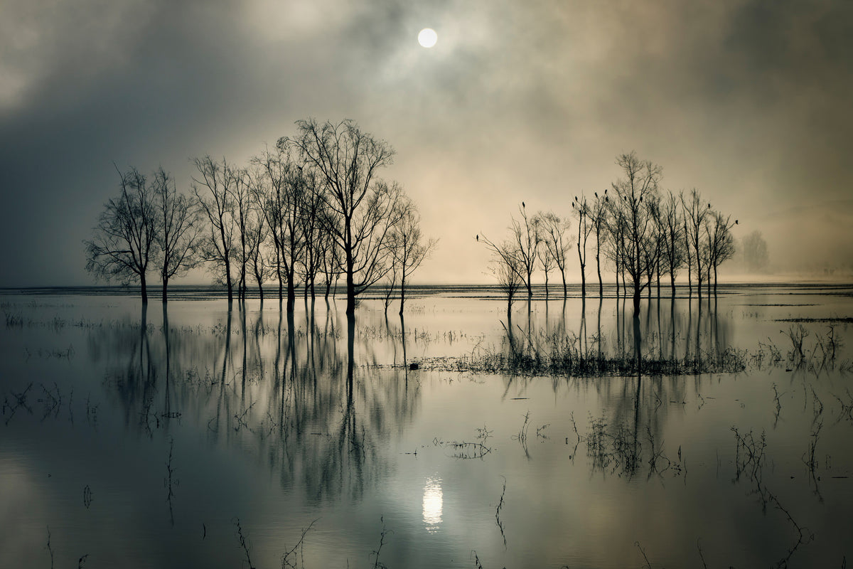 poster-print-lakes-secret