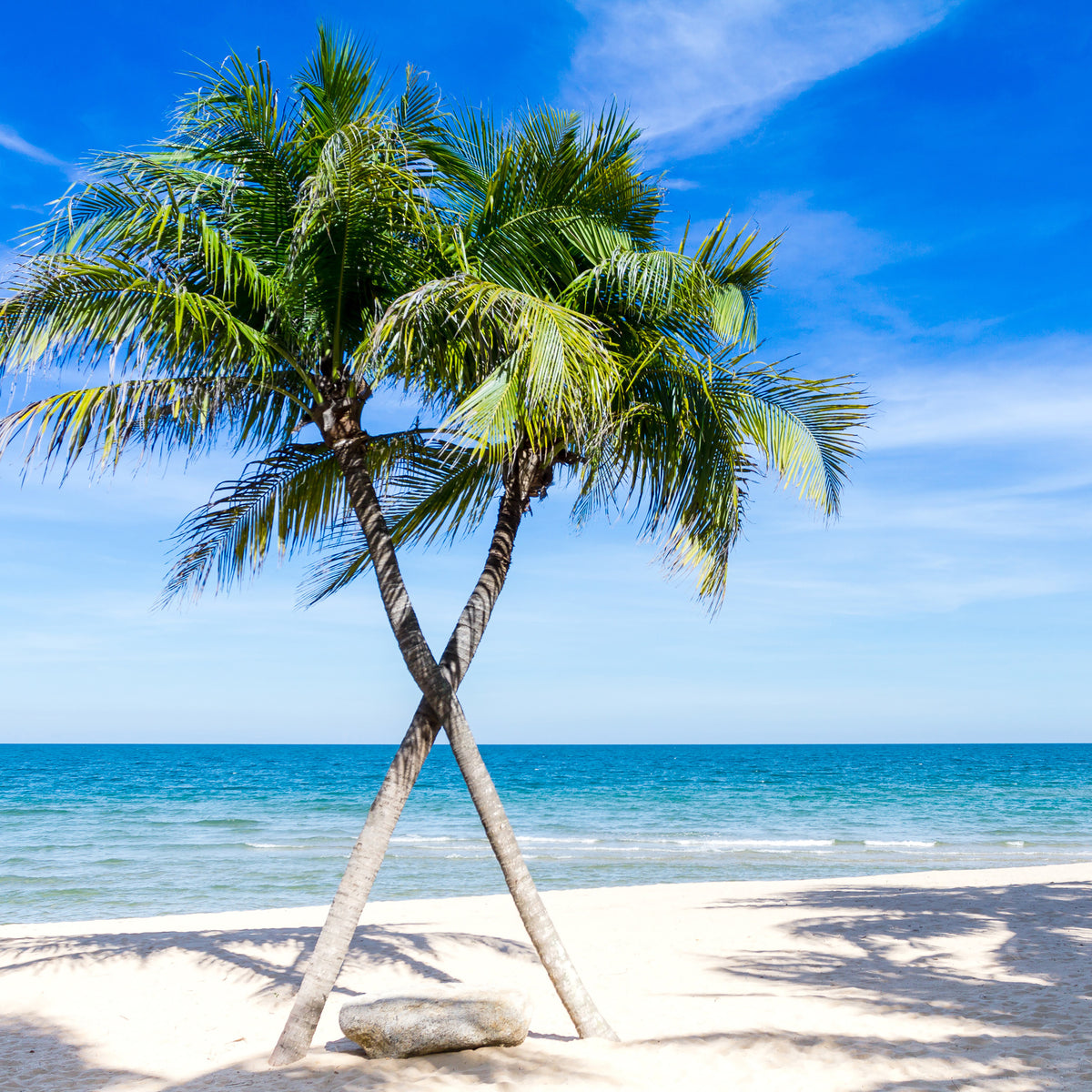 9-piece-canvas-print-dream-beach-caribbean