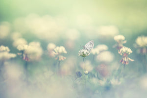 canvas-print-small-world-x