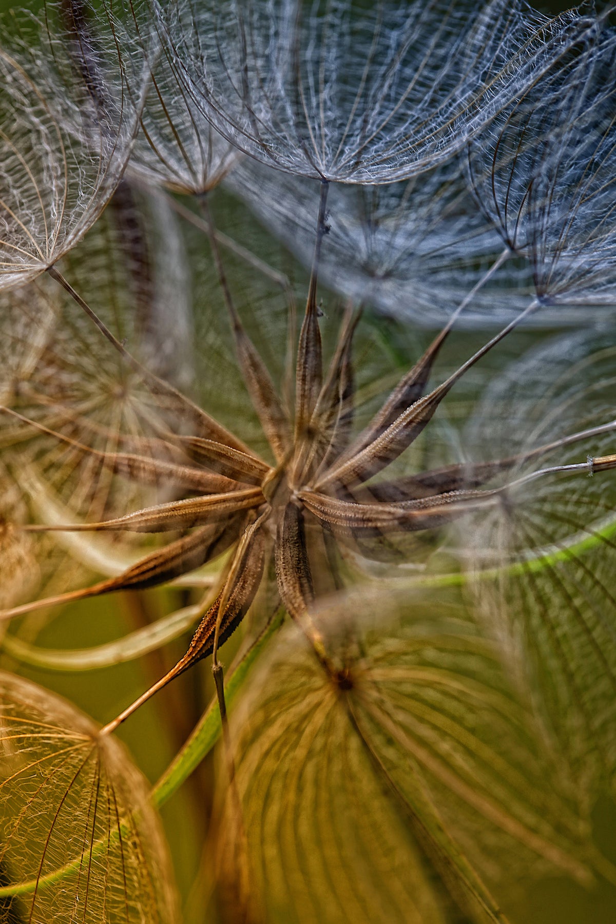 acrylic-print-inside-x