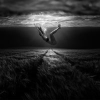 4-piece-aluminium-print-underwaterlandream
