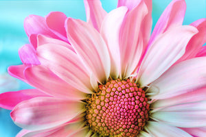 aluminium-print-colored-flower