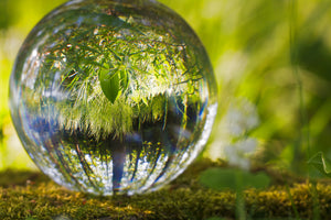 framedposter-print-nature-ball