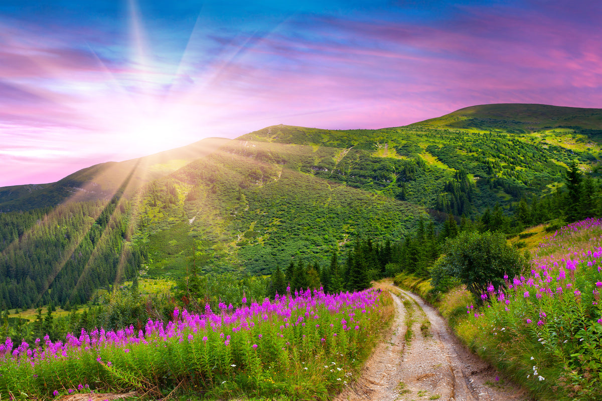 framedcanvas-print-a-summer-landscape-at-sunrise
