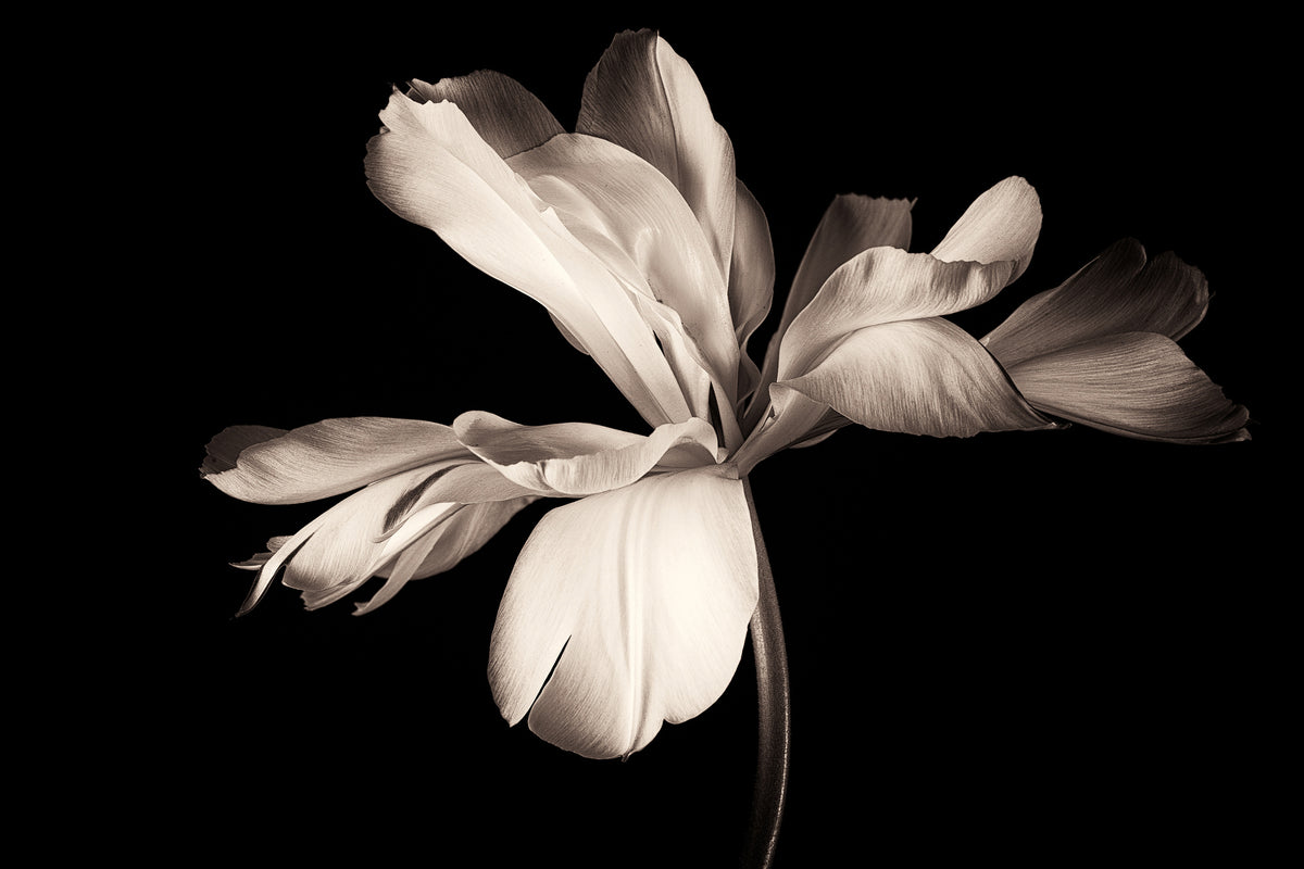 aluminium-print-simplicity