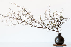acrylic-print-vase-and-branch-x