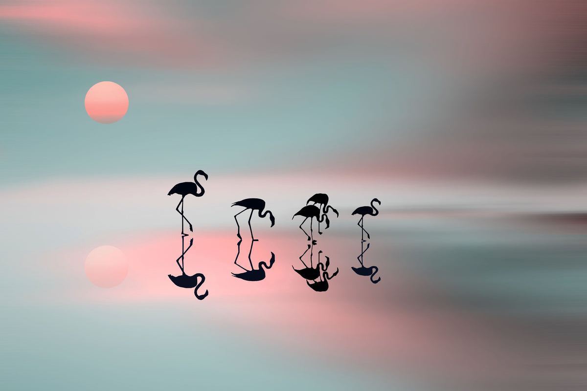 framedposter-print-family-flamingos-x
