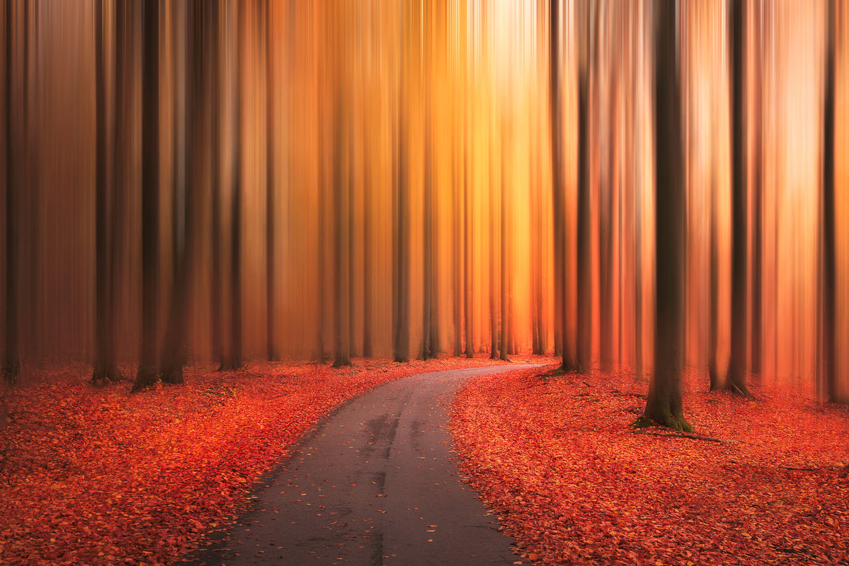acrylic-print-path-to-unknown