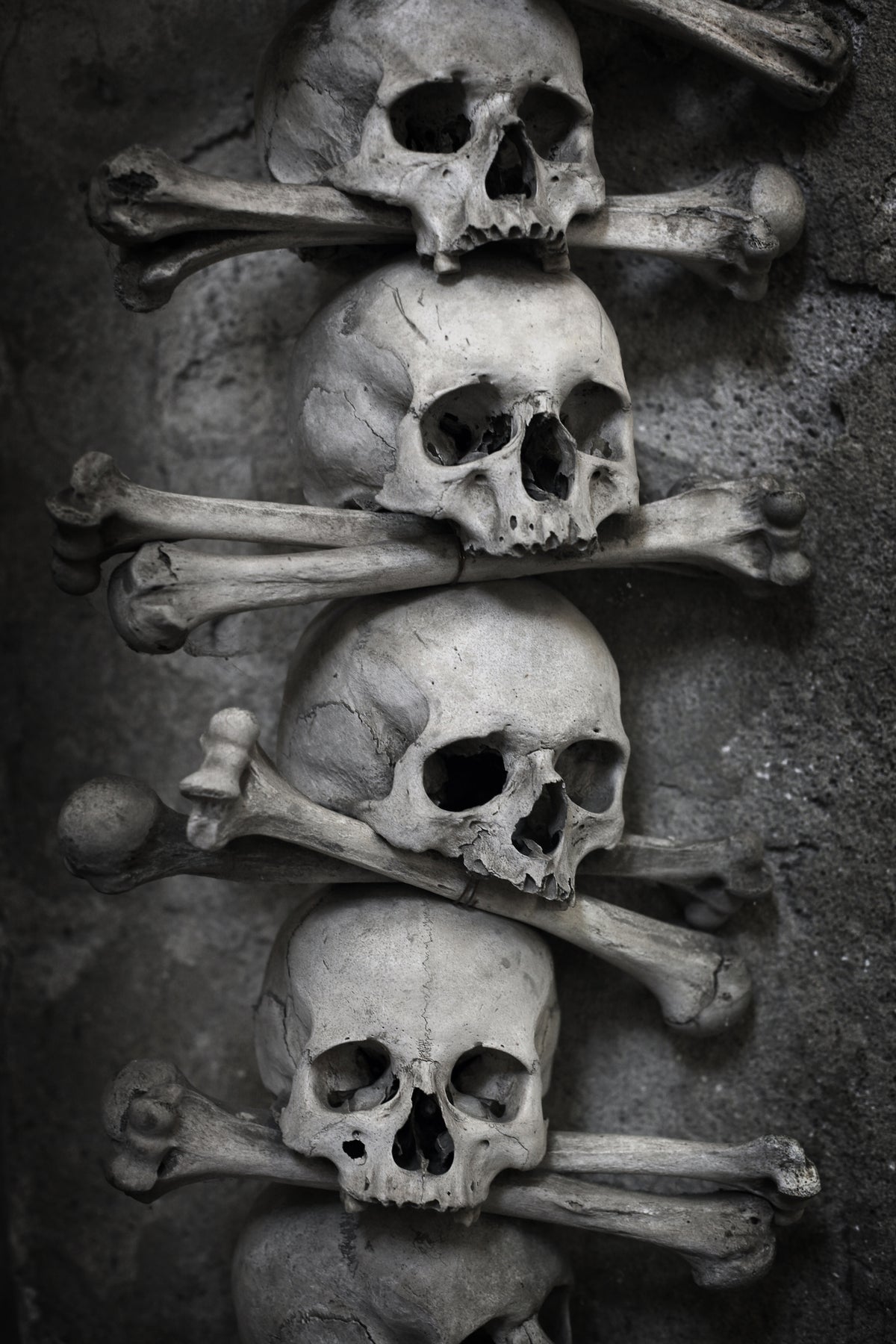 framedcanvas-print-skulls