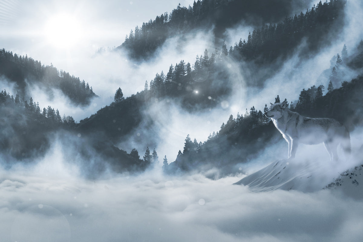 3-piece-aluminium-print-the-wolf-in-the-woods