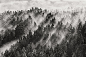 aluminium-print-sundance-no-i