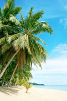 acrylic-print-a-island-dream
