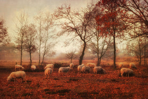 3-piece-aluminium-print-last-days-of-autumn