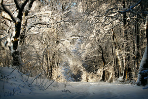 3-piece-acrylic-print-a-winter-dream