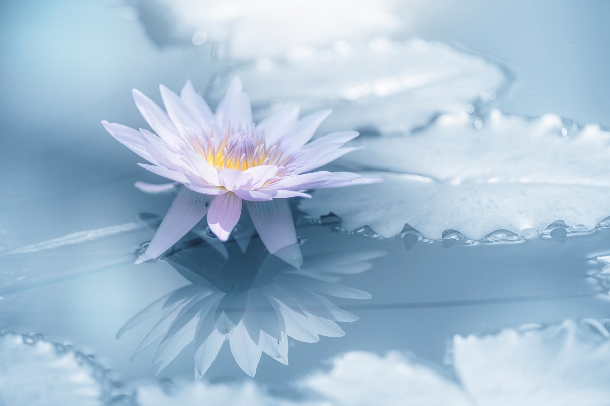 canvas-print-reflection-xbu