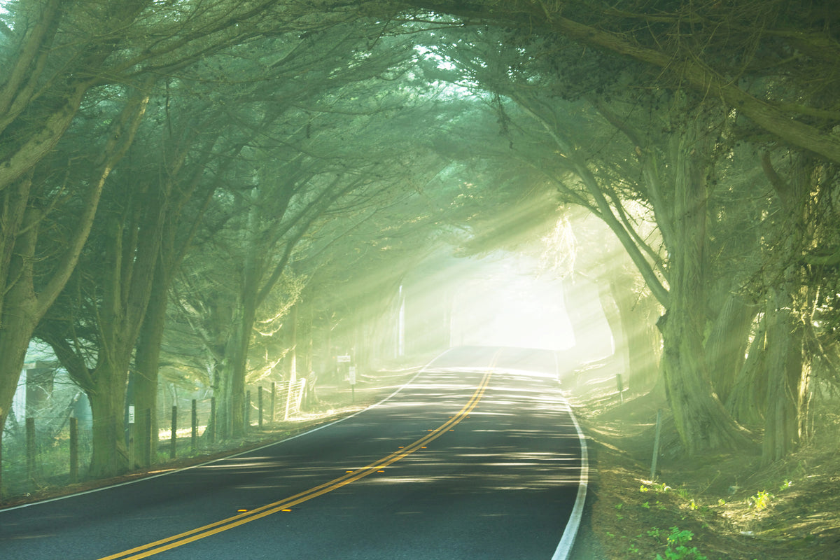 framedposter-print-the-avenue