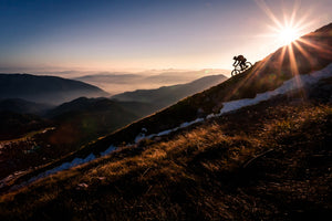 poster-print-last-rays-x