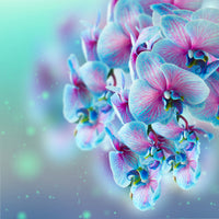 4-piece-aluminium-print-colored-orchids