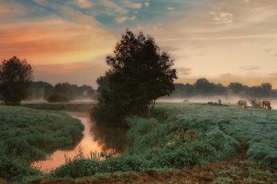 poster-print-foggy-dream-x