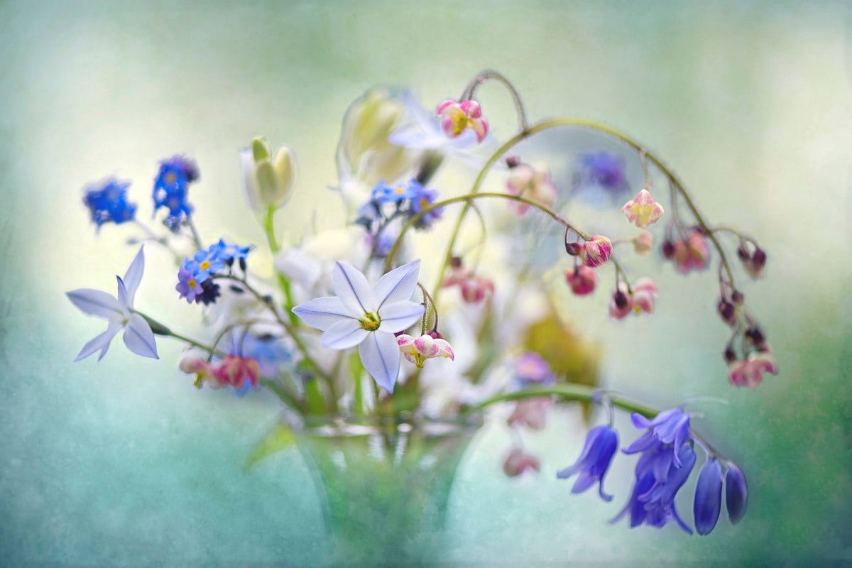 aluminium-print-spring-treasures-x