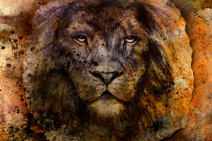 3-piece-aluminium-print-portrait-of-a-lion-ii
