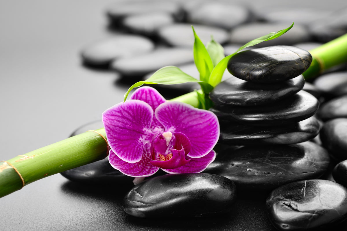 framedposter-print-feng-shui-orchid