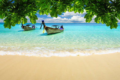 poster-print-a-view-of-the-sea