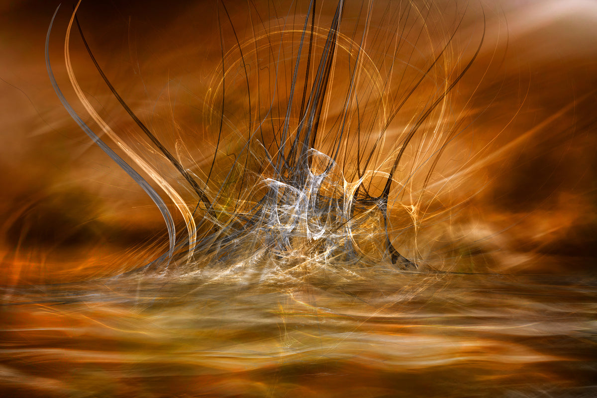 poster-print-the-rising-x