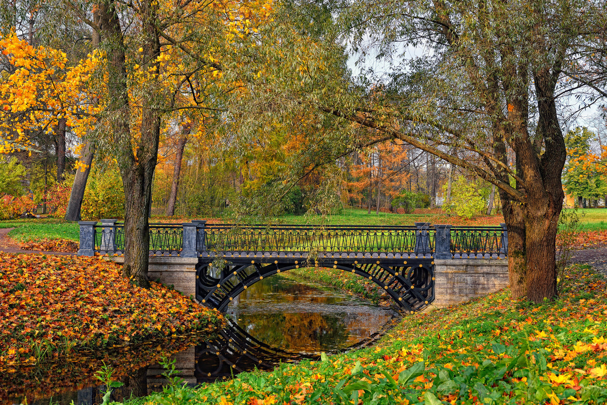 acrylic-print-romantic-park