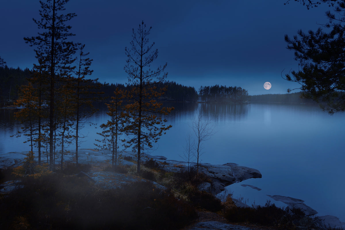framedcanvas-print-night-mist-x