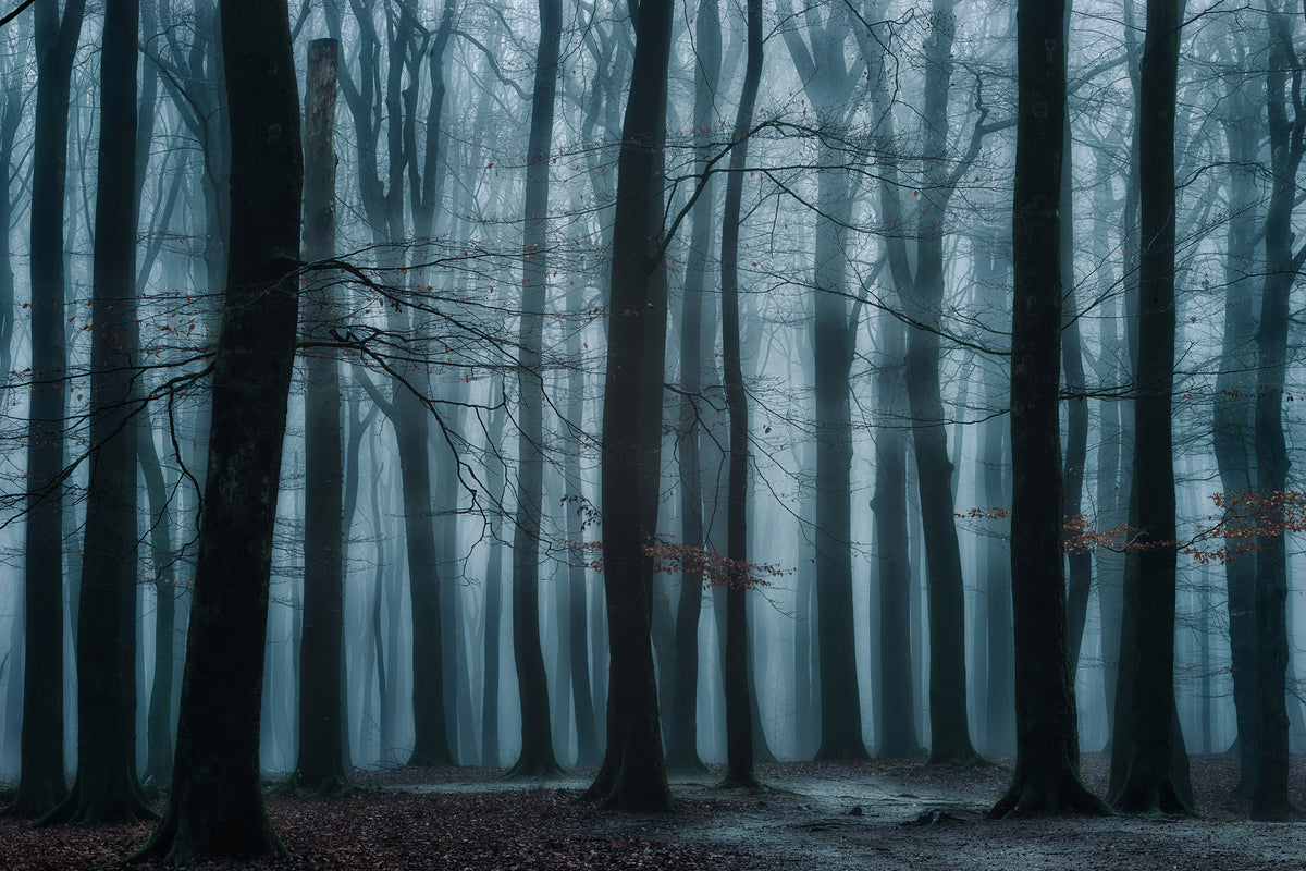 acrylic-print-all-of-us-x