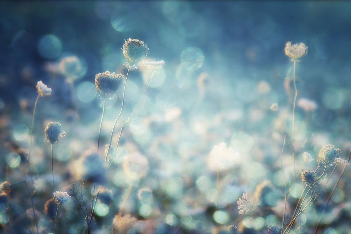 framedposter-print-diamonds-x