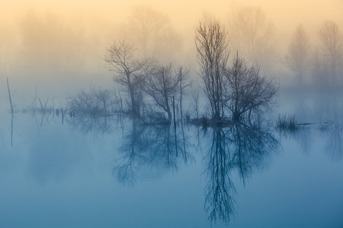 3-piece-acrylic-print-morning-reflection-ii