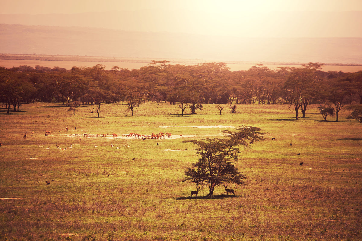 3-piece-canvas-print-picturesque-africa