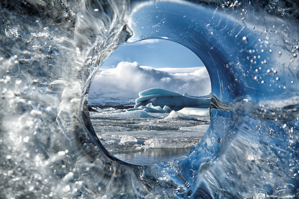framedposter-print-circle-of-life-x