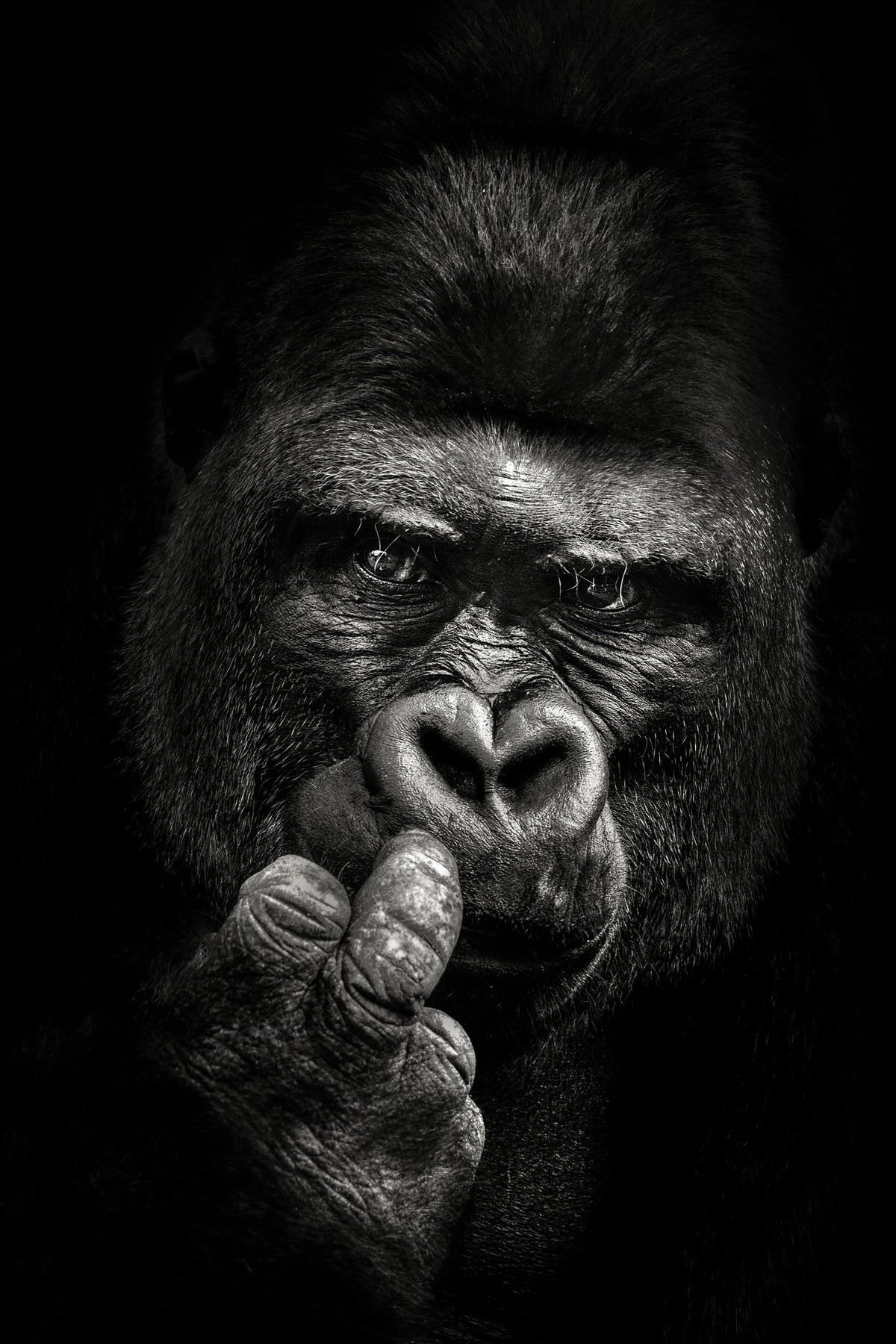 framedcanvas-print-attitude-x