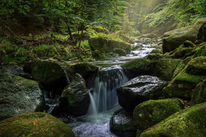 framedposter-print-calming-view
