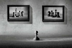 framedcanvas-print-the-choice-to-make