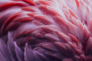 framedposter-print-flamingo-xqw