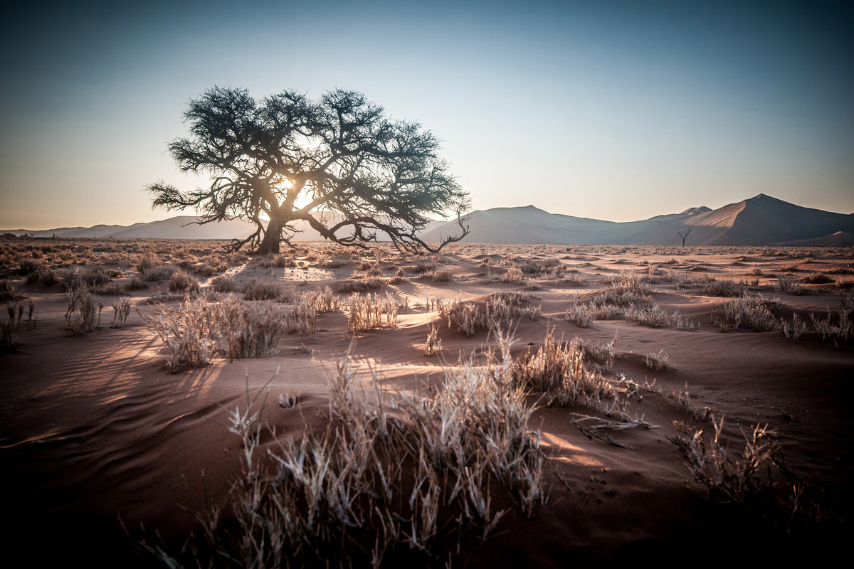 framedposter-print-longing-africa