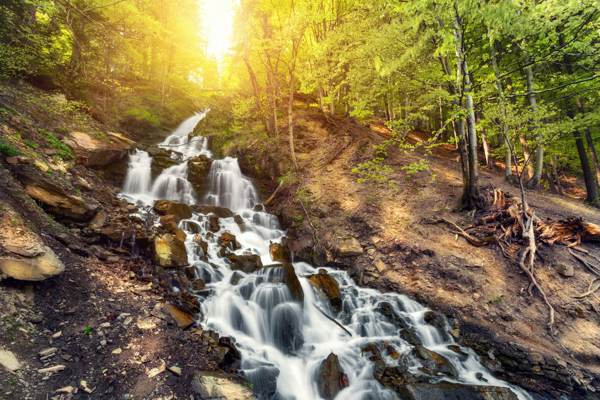 acrylic-print-natural-beauty