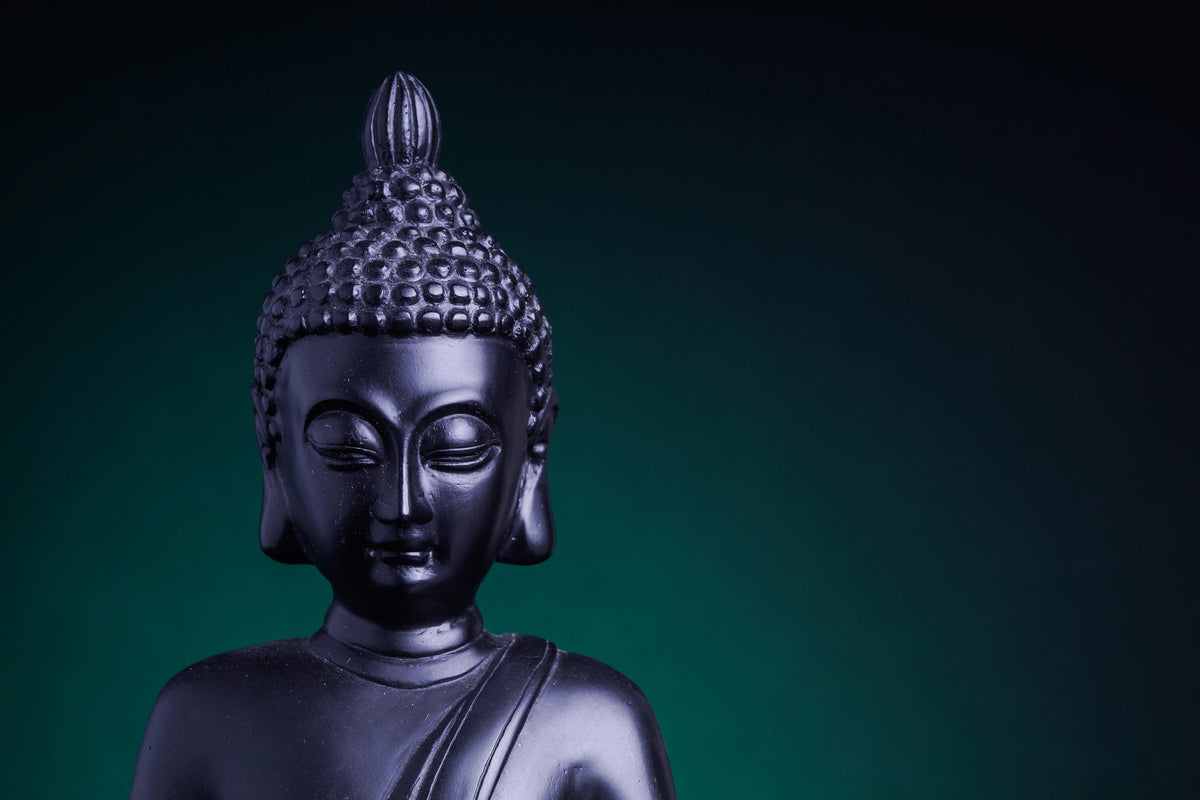 framedposter-print-the-wisdom-of-the-buddha