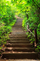 acrylic-print-wood-stairs