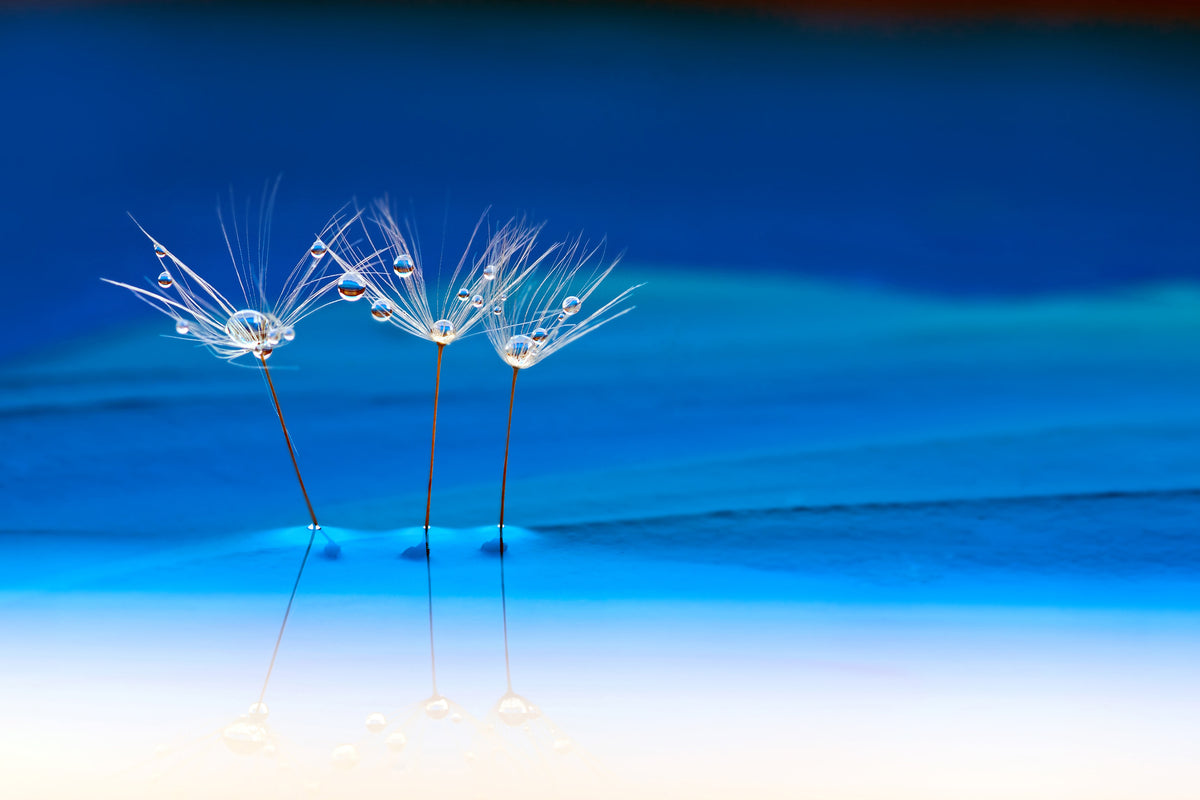 aluminium-print-blue-landscape-x