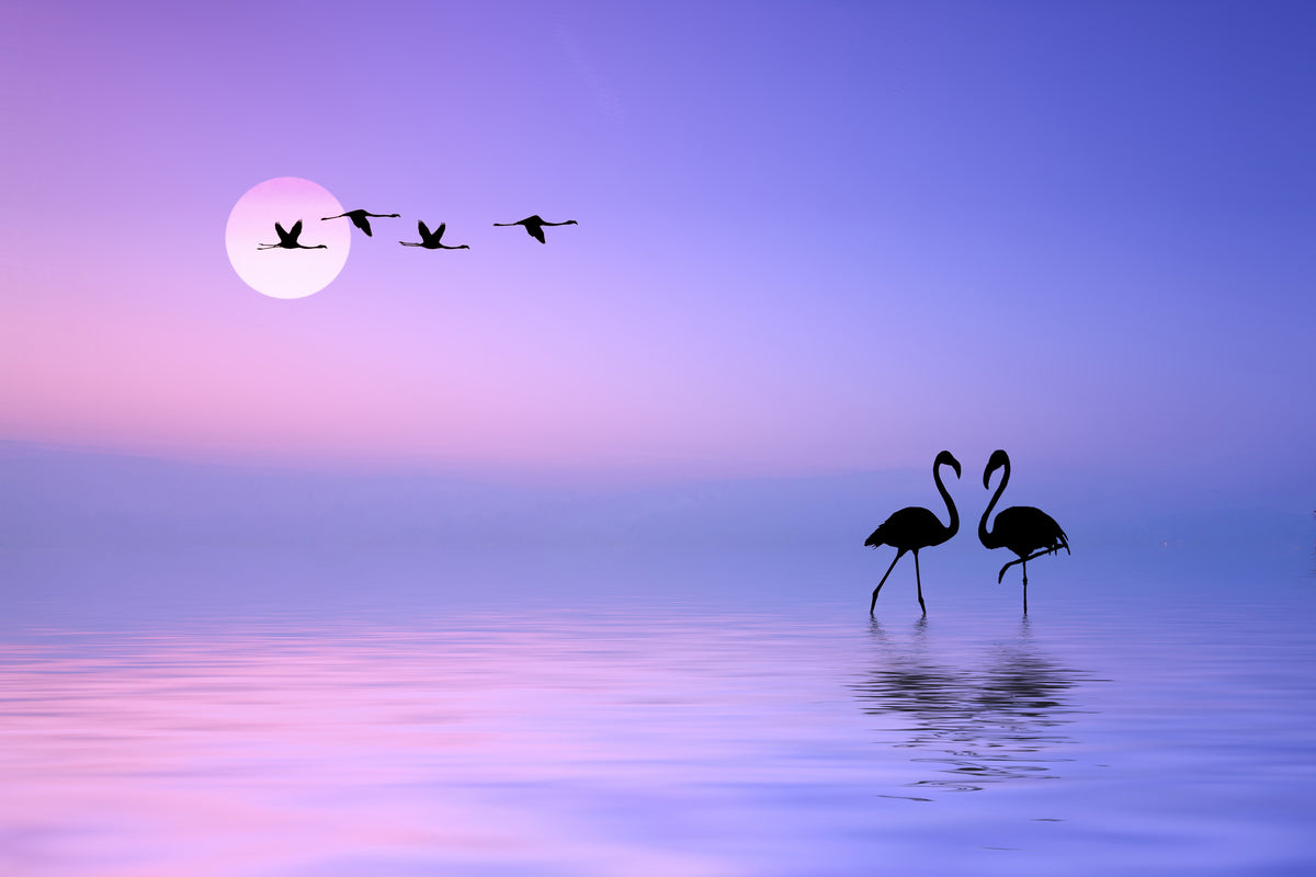 acrylic-print-flying-flamingo-x
