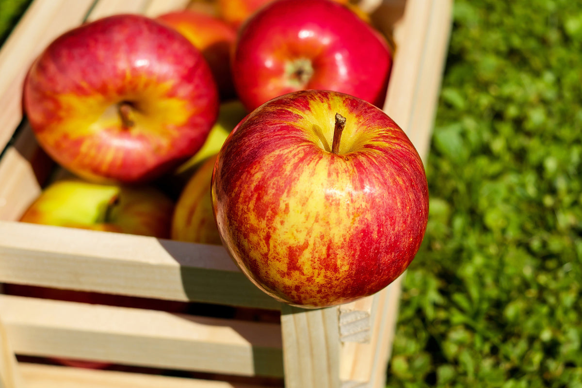 canvas-print-box-of-apples