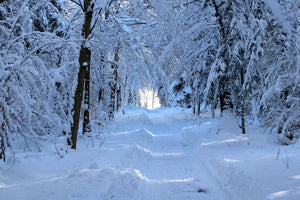 3-piece-canvas-print-finally-winter